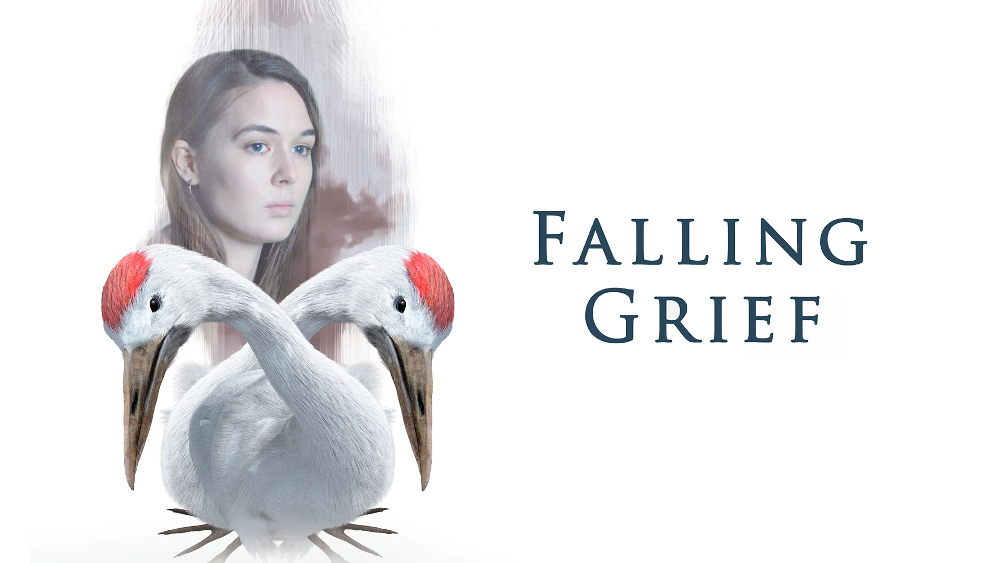 Falling Grief poster